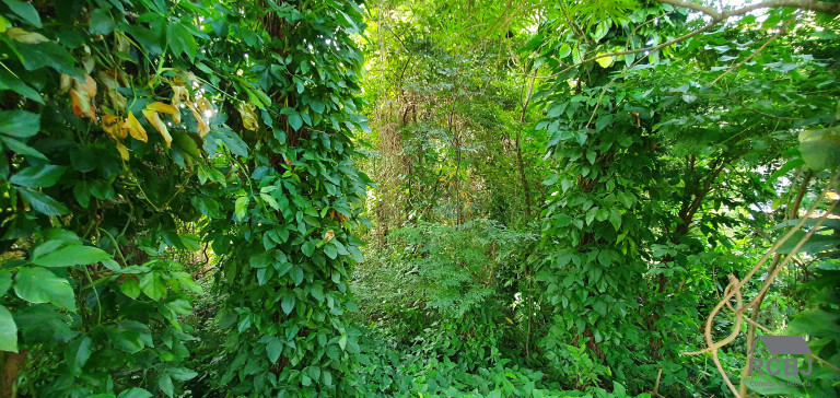 Imagem Terreno à Venda, 1.000 m² em Retiro Do Chalé - Brumadinho Imagem Terreno à Venda, 1.000 m² em Retiro Do Chalé - Brumadinho