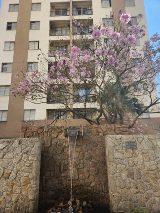 Imagem Apartamento com 3 Quartos para Alugar, 65 m² em City América - São Paulo