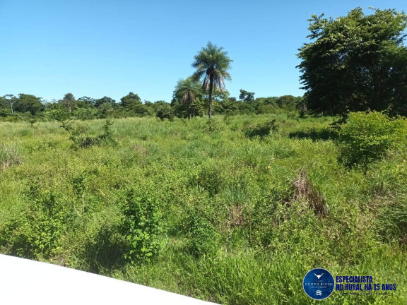 Imagem Fazenda à Venda, 200 m² em Zona Rural - Uirapuru Imagem Fazenda à Venda, 200 m² em Zona Rural - Uirapuru