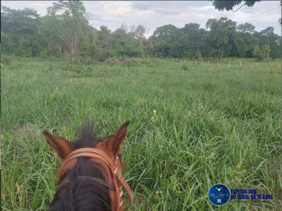 Imagem Fazenda à Venda, 14 m² em Zona Rural - Araguapaz Imagem Fazenda à Venda, 14 m² em Zona Rural - Araguapaz