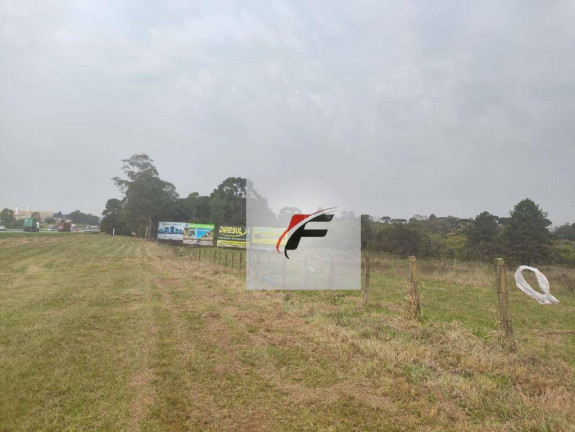 Terreno à Venda, 37.000 m² em Pinheirinho - Curitiba
