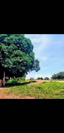 Imagem Chácara à Venda, em Cuiabá Imagem Chácara à Venda, em Cuiabá