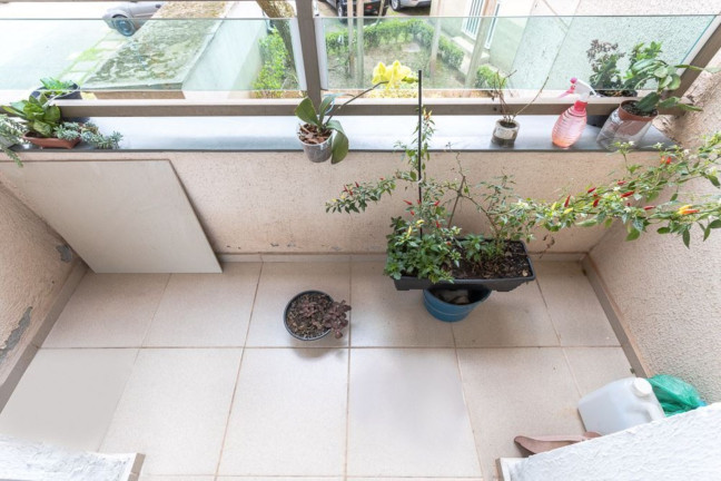 Imagem Apartamento com 2 Quartos à Venda, 47 m² em Jardim Santa Terezinha - São Paulo Imagem Apartamento com 2 Quartos à Venda, 47 m² em Jardim Santa Terezinha - São Paulo