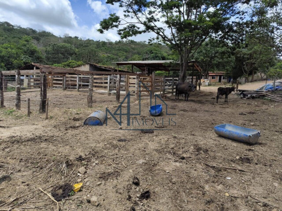 Imagem Fazenda à Venda, em Oloana - Hidrolândia Imagem Fazenda à Venda, em Oloana - Hidrolândia