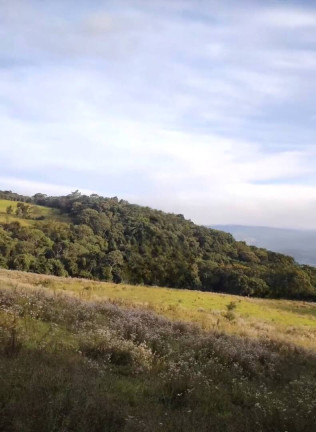 Imagem Fazenda à Venda, 9 m² em São João Da Boa Vista Imagem Fazenda à Venda, 9 m² em São João Da Boa Vista