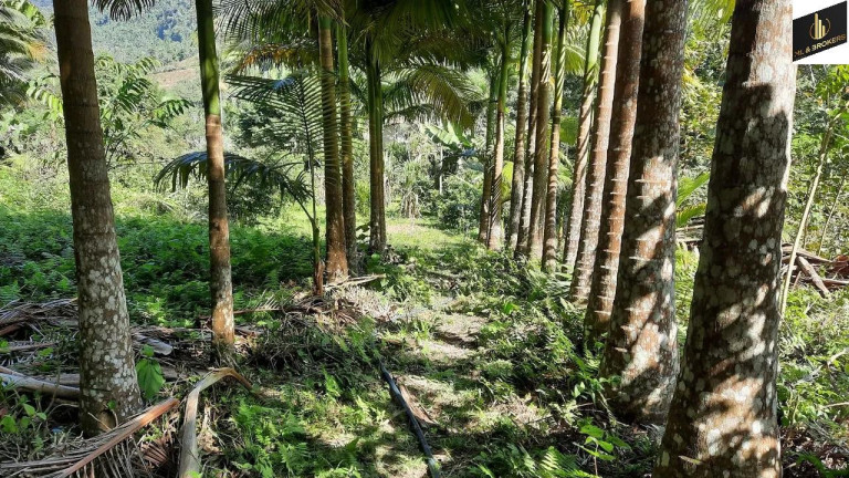 Imagem Imóvel com 4 Quartos à Venda, 30.000 m² em Zona Rural - Vidal Ramos Imagem Imóvel com 4 Quartos à Venda, 30.000 m² em Zona Rural - Vidal Ramos