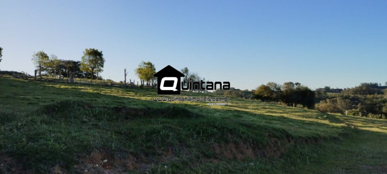 Imagem Imóvel com 1 Quarto à Venda, 230.000 m² em Santo Amor - Morro Redondo Imagem Imóvel com 1 Quarto à Venda, 230.000 m² em Santo Amor - Morro Redondo