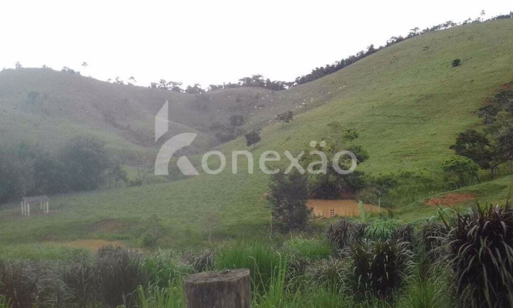 Imagem Fazenda à Venda, 400 m² em Centro - Jacareí