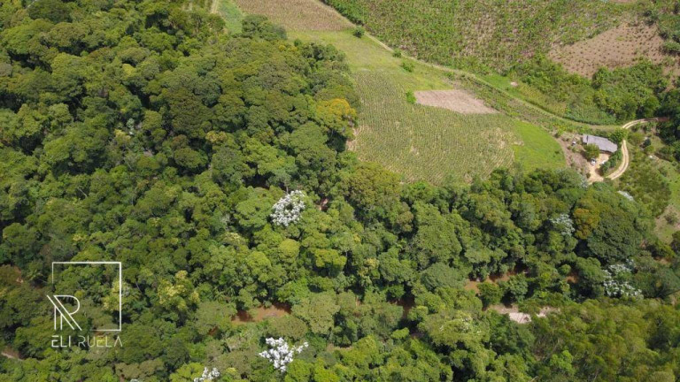 Imagem Chácara com 3 Quartos à Venda, 30.000 m² em Boa Esperança - Marechal Floriano Imagem Chácara com 3 Quartos à Venda, 30.000 m² em Boa Esperança - Marechal Floriano
