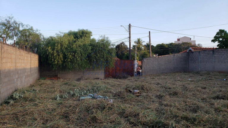 Imagem Terreno à Venda, 650 m² em Vila São Guido - Pirassununga