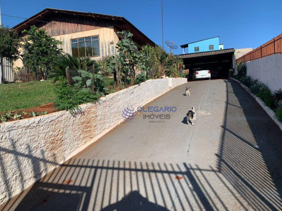 Imagem Casa com 4 Quartos à Venda, 180 m² em Centro - Toledo Imagem Casa com 4 Quartos à Venda, 180 m² em Centro - Toledo