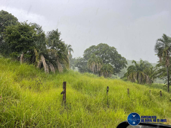 Imagem Fazenda à Venda, 33 m² em Zona Rural - Goiás Imagem Fazenda à Venda, 33 m² em Zona Rural - Goiás