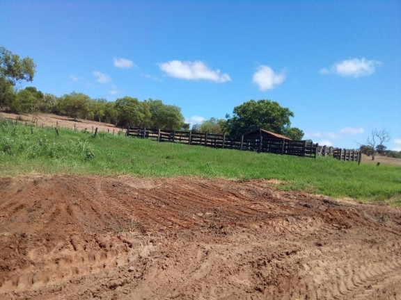 Imagem Fazenda à Venda, 32 m² em Rural - Bauru Imagem Fazenda à Venda, 32 m² em Rural - Bauru