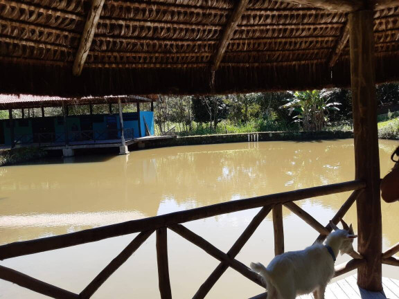 Imagem Chácara com 10 Quartos à Venda, 33.500 m² em Maraporã - Cachoeiras De Macacu Imagem Chácara com 10 Quartos à Venda, 33.500 m² em Maraporã - Cachoeiras De Macacu