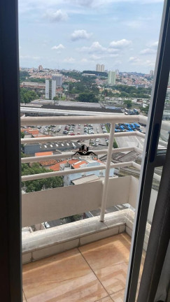 Imagem Apartamento com 2 Quartos à Venda, 63 m² em Casa Branca - Santo André