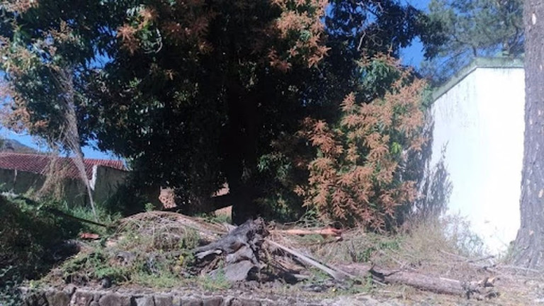 Imagem Chácara com 4 Quartos à Venda, 570 m² em Nova Gardênia - Atibaia Imagem Chácara com 4 Quartos à Venda, 570 m² em Nova Gardênia - Atibaia