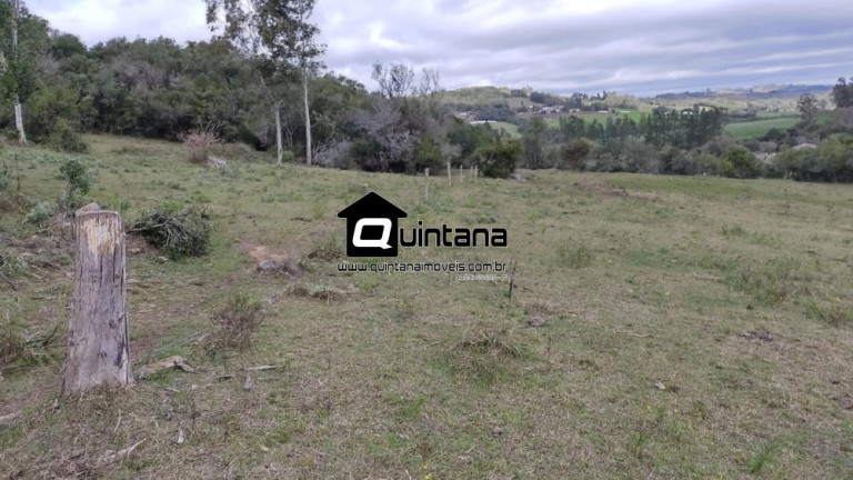 Imagem Imóvel com 4 Quartos à Venda, 80.000 m² em Colônia Santa Maria - Pelotas Imagem Imóvel com 4 Quartos à Venda, 80.000 m² em Colônia Santa Maria - Pelotas