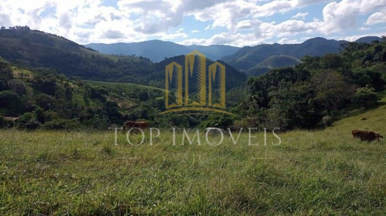 Imagem Fazenda à Venda, 84.280 m² em área Rural De São Francisco Xavier - São José Dos Campos Imagem Fazenda à Venda, 84.280 m² em área Rural De São Francisco Xavier - São José Dos Campos