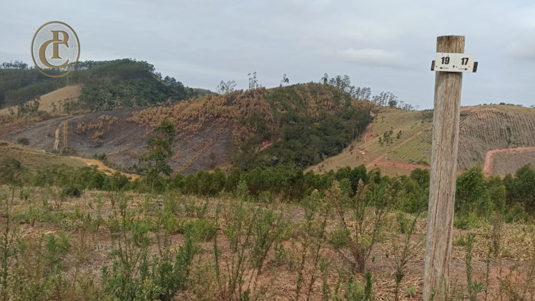 Imagem Terreno à Venda, 100 m² em Centro - Paraibuna Imagem Terreno à Venda, 100 m² em Centro - Paraibuna