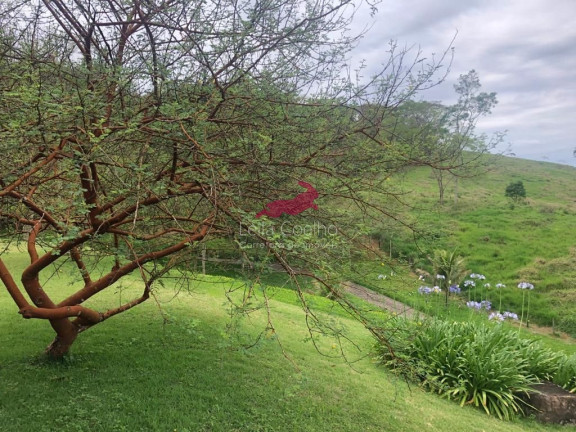 Imagem Fazenda à Venda, 400 m² em Zona Rural - Pequeri Imagem Fazenda à Venda, 400 m² em Zona Rural - Pequeri