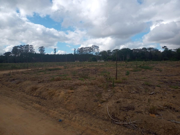 Imagem Fazenda à Venda, 2.323.200 m² em Fazenda