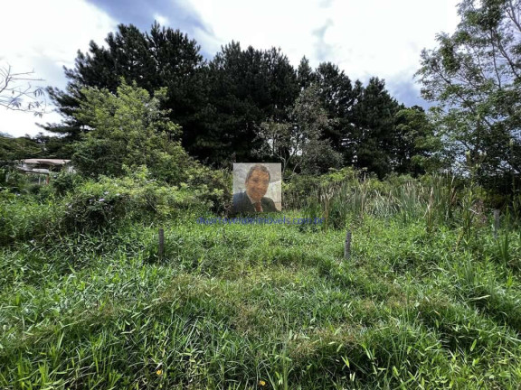 Imagem Terreno à Venda, 1.420 m² em Chácara Santa Lúcia - Carapicuíba Imagem Terreno à Venda, 1.420 m² em Chácara Santa Lúcia - Carapicuíba