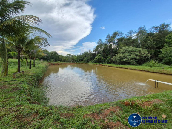 Imagem Chácara à Venda, 6 m² em Zona Rural - Hidrolândia Imagem Chácara à Venda, 6 m² em Zona Rural - Hidrolândia