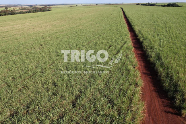 Fazenda à Venda, 6 m² em Zona Rural - Morro Agudo
