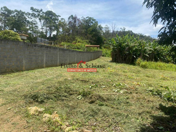 Imagem Chácara com 3 Quartos à Venda, 10.000 m² em Viçosa Imagem Chácara com 3 Quartos à Venda, 10.000 m² em Viçosa