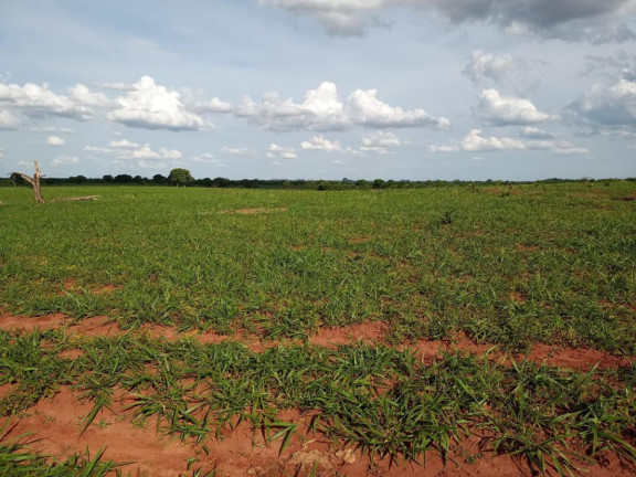 Imagem Fazenda à Venda, 2.027 m² em Rural - Campo Grande