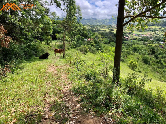 Imagem Terreno à Venda, 14.580 m² em Cangueri De Fora - Imaruí