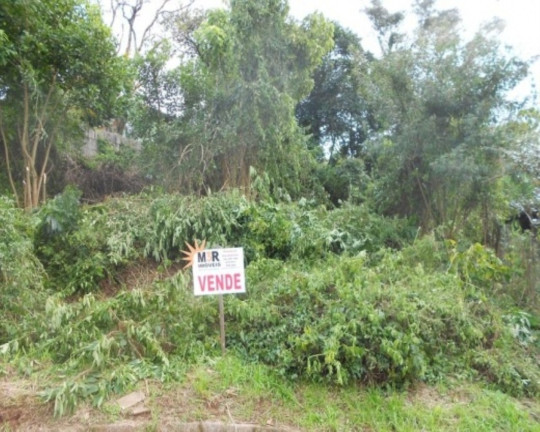 Imagem Terreno à Venda, 743 m² em Juriti - Nova Petrópolis Imagem Terreno à Venda, 743 m² em Juriti - Nova Petrópolis
