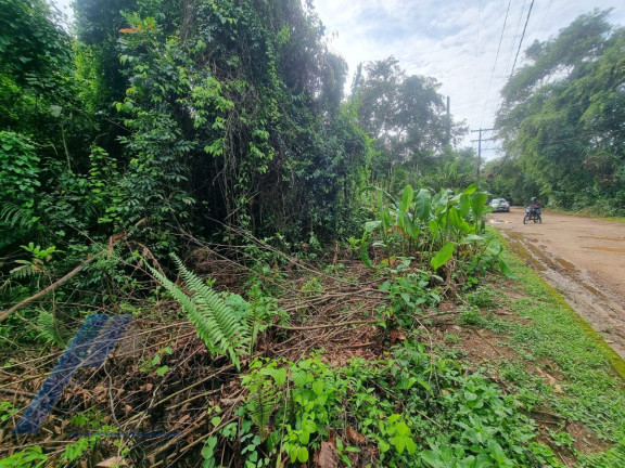 Imagem Terreno à Venda, 518 m² em Itamambuca - Ubatuba Imagem Terreno à Venda, 518 m² em Itamambuca - Ubatuba