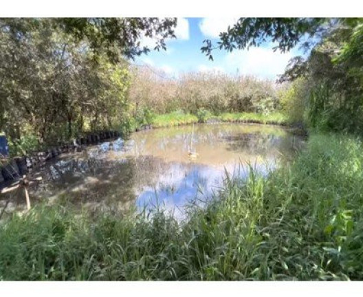 Imagem Imóvel à Venda, 8.000 m² em área Rural De Bauru - Bauru Imagem Imóvel à Venda, 8.000 m² em área Rural De Bauru - Bauru
