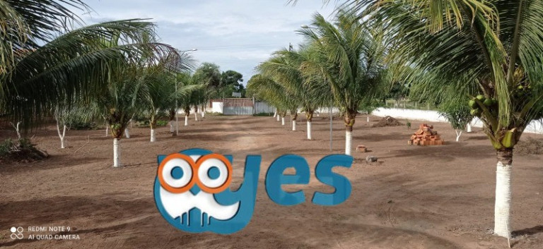 Imagem Imóvel com 3 Quartos à Venda, 10.000 m² em Asa Branca - Feira De Santana Imagem Imóvel com 3 Quartos à Venda, 10.000 m² em Asa Branca - Feira De Santana