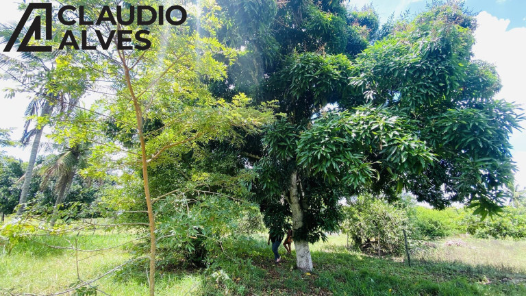 Imagem Terreno à Venda, 2 m² em Chaparral - Feira De Santana