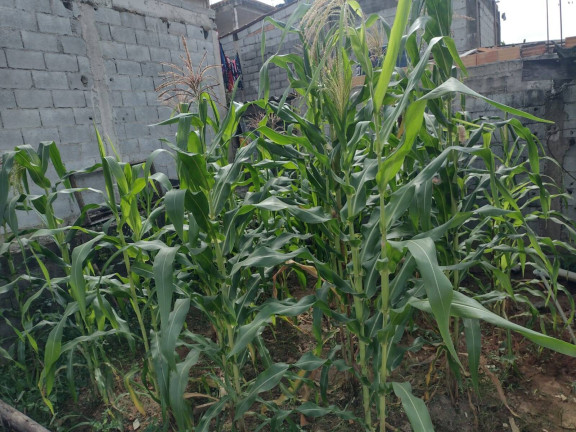 Imagem Terreno à Venda, 120 m² em Jardim Itapuã - Itaquaquecetuba Imagem Terreno à Venda, 120 m² em Jardim Itapuã - Itaquaquecetuba