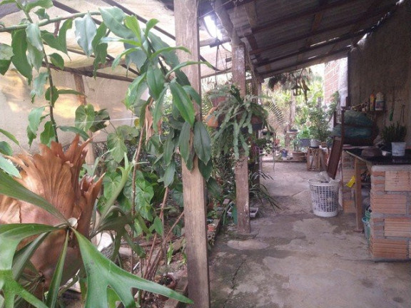 Imagem Fazenda à Venda, 3.000 m² em Jardim Santa Luzia - Guaratinguetá