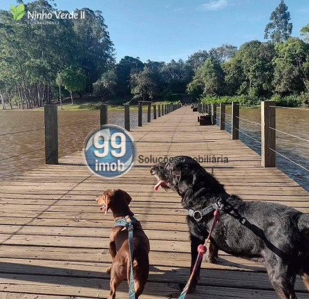 Imagem Terreno à Venda, 450 m² em Ninho Verde Ii - Pardinho
