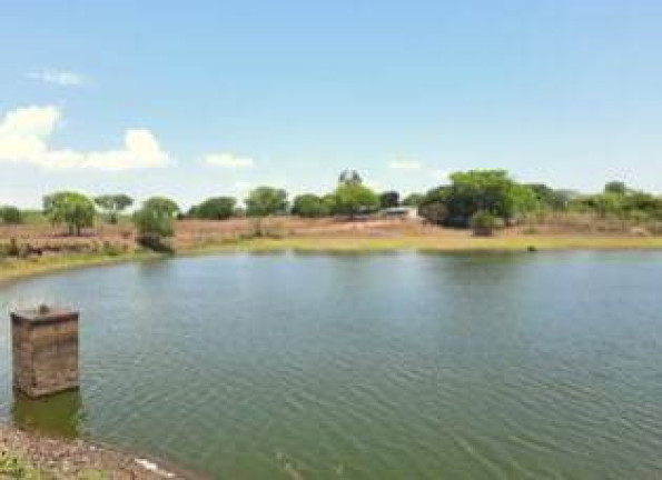 Imagem Fazenda à Venda, 1.357 m² em Jangada Imagem Fazenda à Venda, 1.357 m² em Jangada