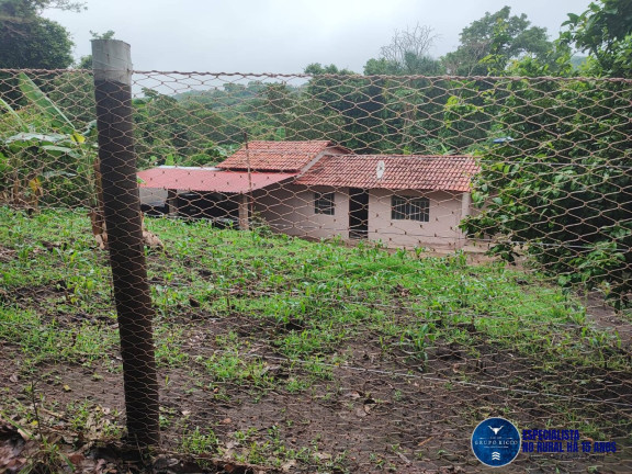 Imagem Chácara à Venda, 2 m² em Zona Rural - Itauçu Imagem Chácara à Venda, 2 m² em Zona Rural - Itauçu