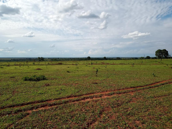 Imagem Fazenda à Venda, 2.027 m² em Rural - Campo Grande