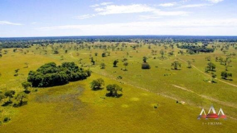 Imagem Fazenda à Venda, 92 m² em Zona Rural De Poconé - Poconé Imagem Fazenda à Venda, 92 m² em Zona Rural De Poconé - Poconé