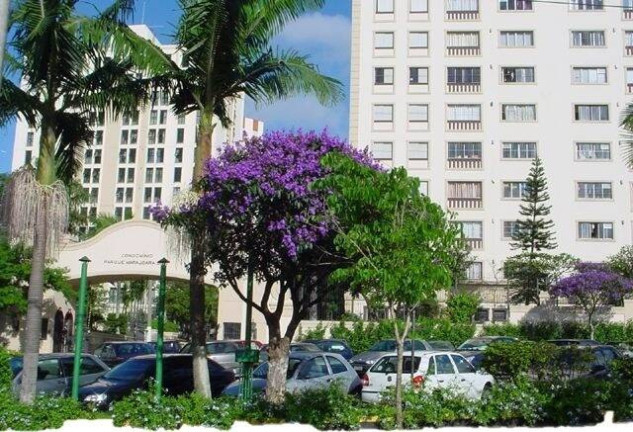Imagem Apartamento com 3 Quartos para Alugar, 97 m² em Jardim Marajoara - São Paulo
