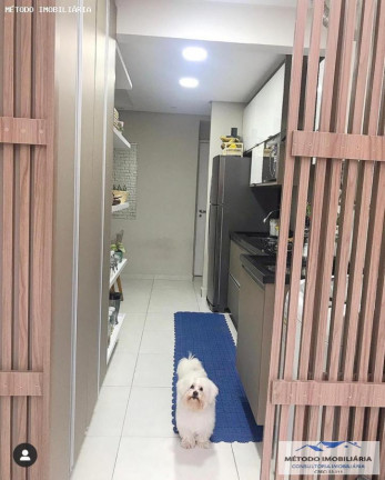 Imagem Apartamento com 3 Quartos à Venda, 66 m² em Parque Jaçatuba - Santo André Imagem Apartamento com 3 Quartos à Venda, 66 m² em Parque Jaçatuba - Santo André