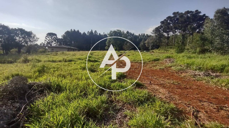 Imagem Terreno à Venda, 3.080 m² em Cará-cará - Ponta Grossa