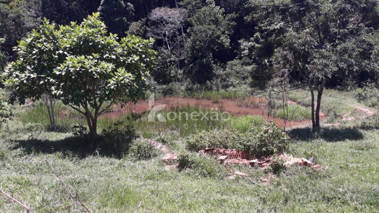 Imagem Chácara com 3 Quartos à Venda, 200 m² em Morro Azul - Paraibuna Imagem Chácara com 3 Quartos à Venda, 200 m² em Morro Azul - Paraibuna