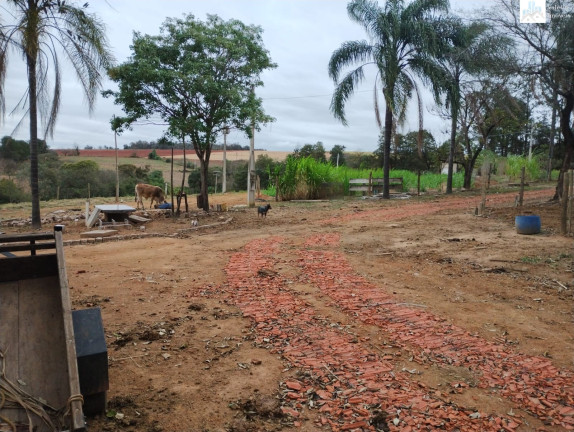 Imagem Imóvel à Venda, em Três Cruzes - Elias Fausto Imagem Imóvel à Venda, em Três Cruzes - Elias Fausto