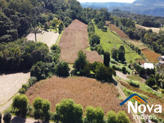 Imagem Imóvel à Venda, em Linha Araripe - Nova Petrópolis Imagem Imóvel à Venda, em Linha Araripe - Nova Petrópolis