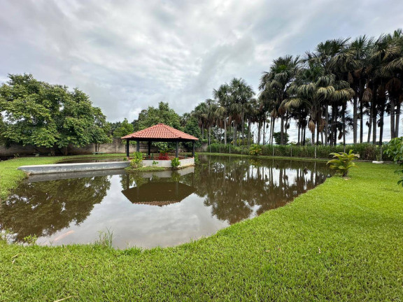Imagem Chácara à Venda, 5.000 m² em Santa Maria - Trindade Imagem Chácara à Venda, 5.000 m² em Santa Maria - Trindade